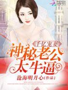 千亿宠妻:神秘老公,太牛逼!