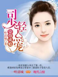 染指成瘾:司少轻点宠