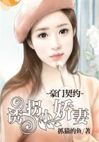 豪门契约:诱拐小娇妻