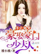 千亿婚宠:豪娶豪门少夫人